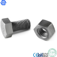 Hexagon Head Screw Nut